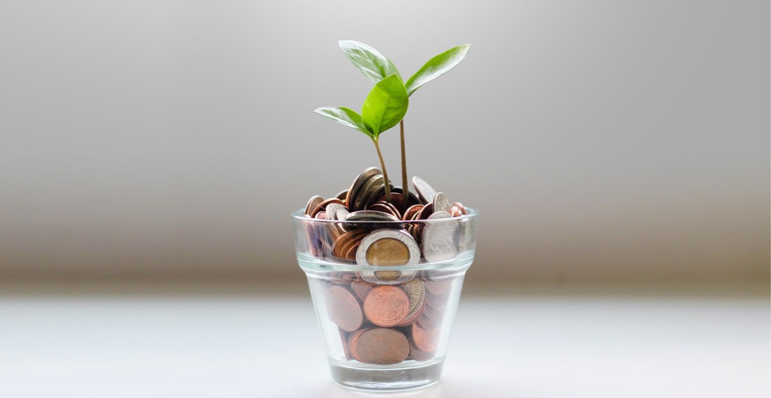 MASMOVIL ENERGÍA - Excedentes y mantenimiento