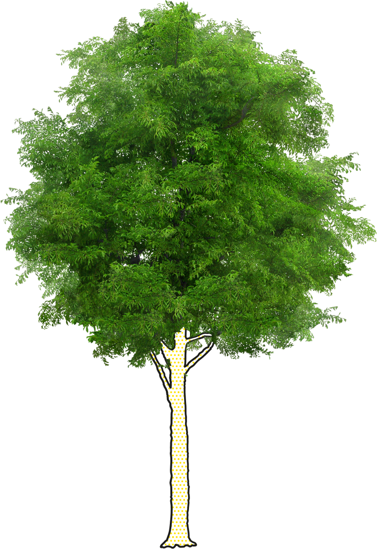 MASMOVIL ENERGÍA -  No hay adornos, pero sí soluciones